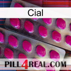 Cial 10